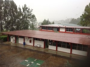 Patio_Ingles